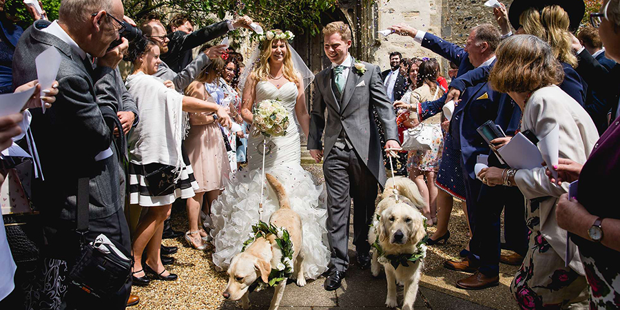 wedding dog photo
